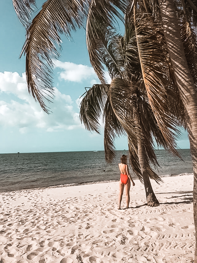 palmy na plazy w Key West