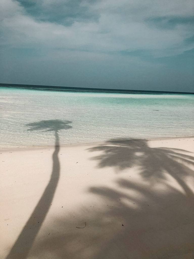 cienie palm na plaży, Malediwy