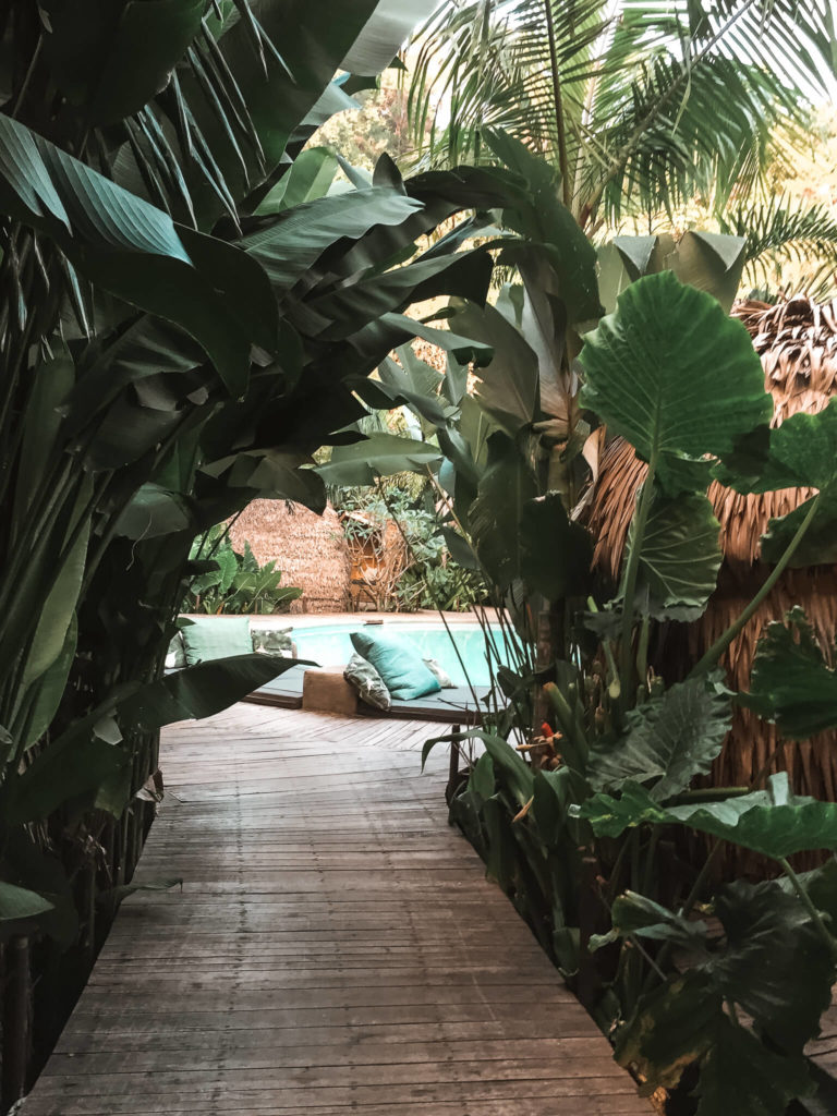 dżungla w hotelu Panorama w El Nido